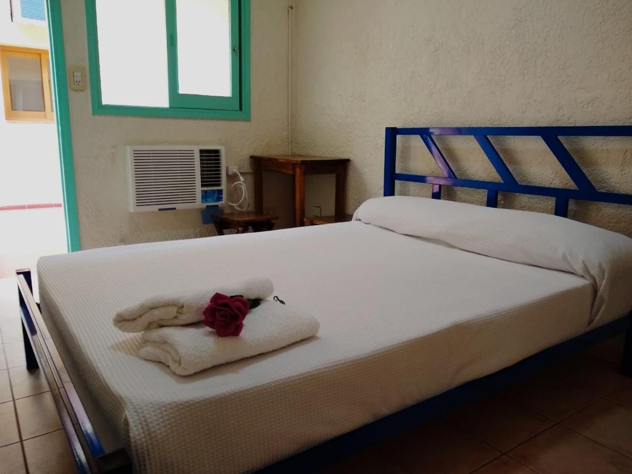 Black Sheep International Hostel Mendoza Exteriér fotografie